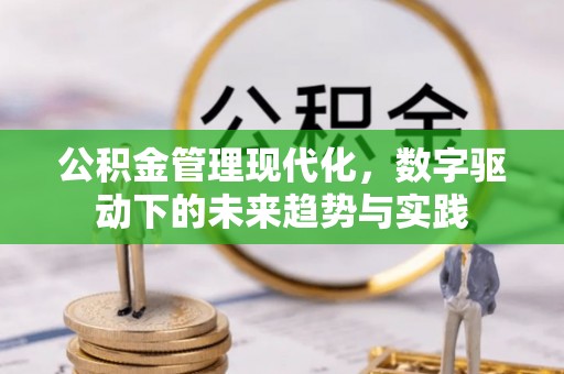 平潭公积金管理现代化，数字驱动下的未来趋势与实践